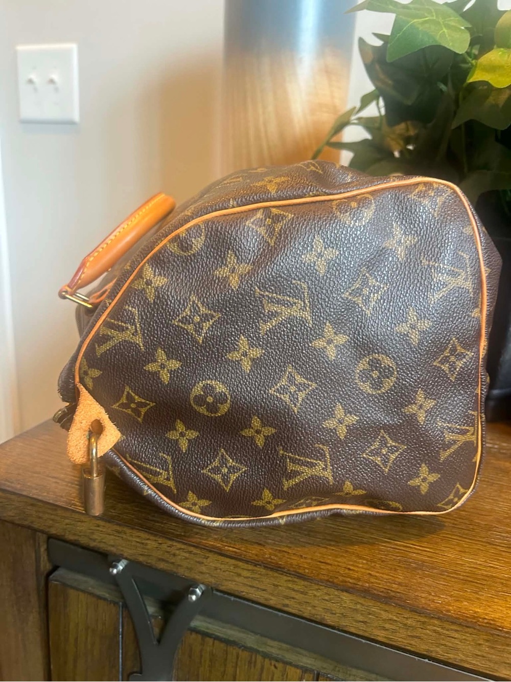 Louis Vuitton Monogram Speedy 30